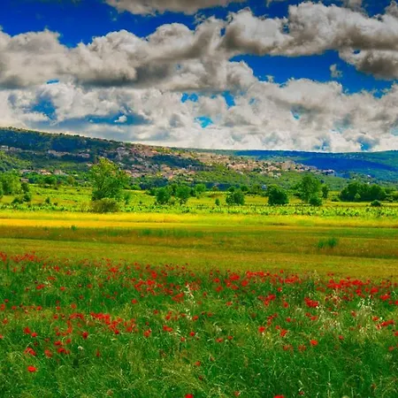 Lea-makarska By Guide *